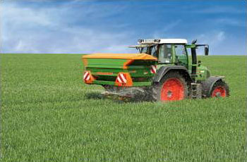 ��� ������