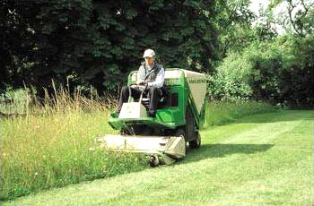 ��Ƽ������